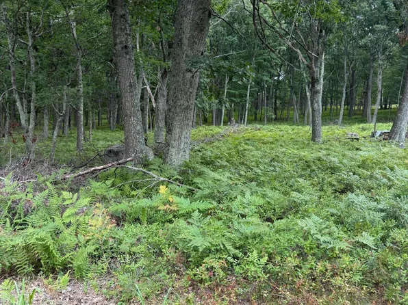 28 Snowshoe Ct, Bushkill, PA 18324