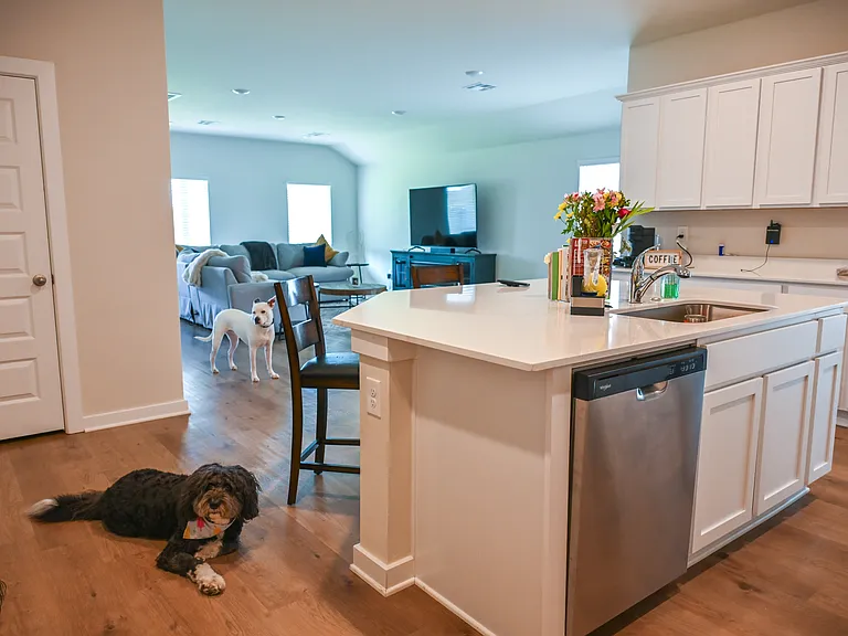 2929 Firefly Dr — Photo 7