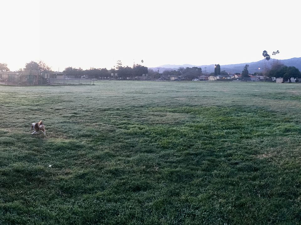 Open school field for play. 