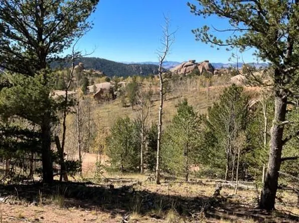 168 Wildhorse Rd, Cripple Creek, CO 80813