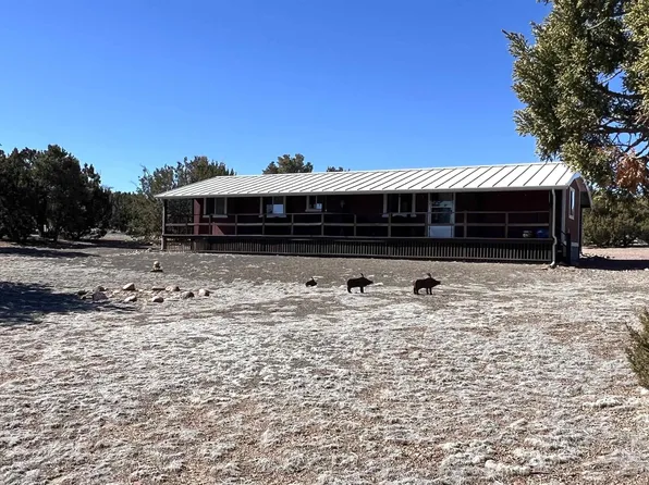 12 Bridle Trl, Quemado, NM 87829