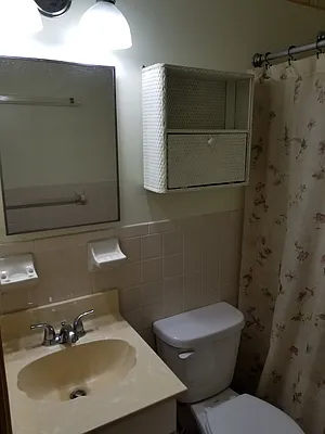 Rented by Carollo Real Estate | media 15