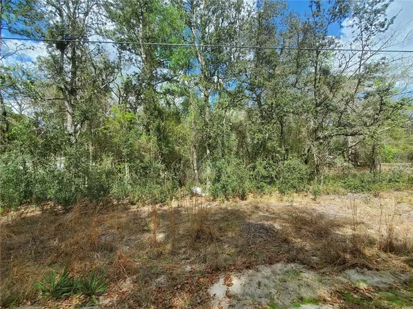 NE 172nd Pl #11, Fort Mc Coy, FL 32134