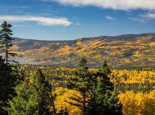 1 The Ranch at Angel Fire, Angel Fire, NM 87710