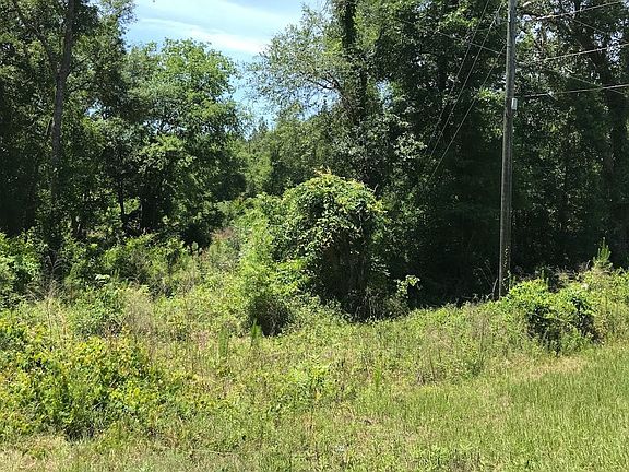 2nd image of 11758 SW County Road 240