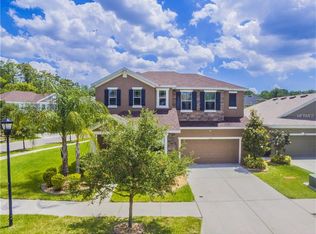 6923 Rocky Canyon Way, Tampa, FL 33625