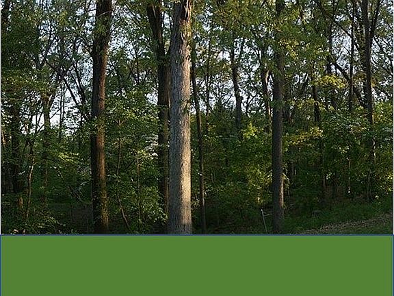 Flowering Trees on Property