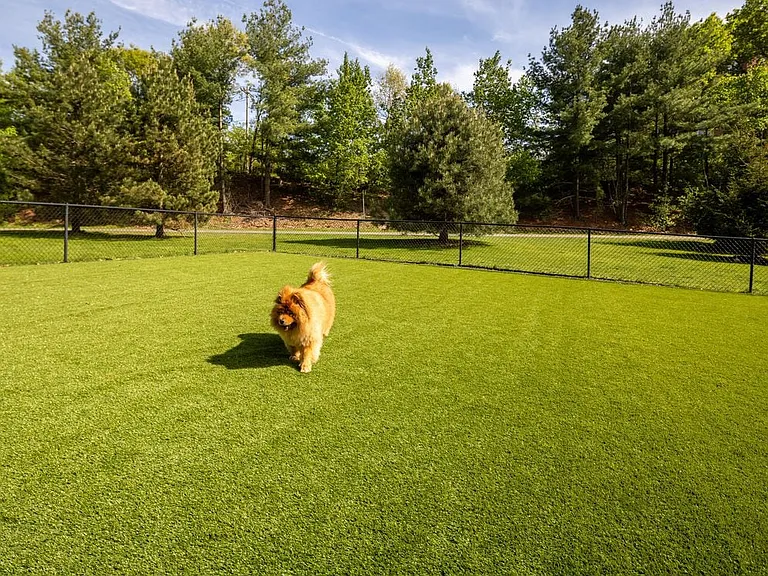 WAG pet park