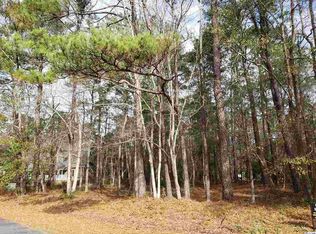 Wedgefield Rd, Georgetown, SC 29440