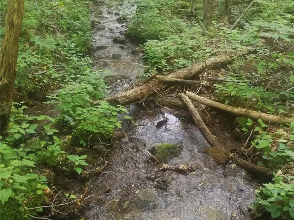 0 Trillium Branch Dr, Bryson City, NC 28713