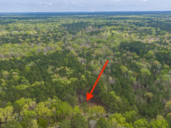 0 Busters Paradise Ln, Cordesville, SC 29434