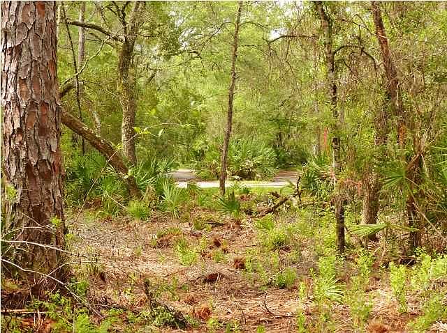 1st image of 586 Walkers Ln