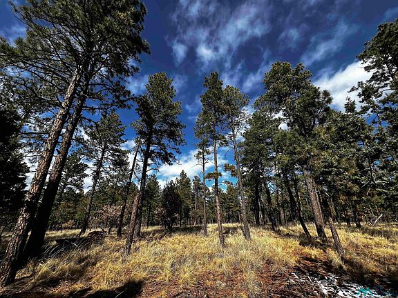 2nd image of Timber Dr Lot 16