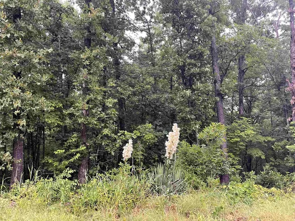 Blackfoot Dr, Cherokee Village, AR 72529