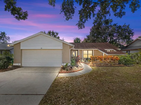 59 Turnstone Dr, Safety Harbor, FL 34695