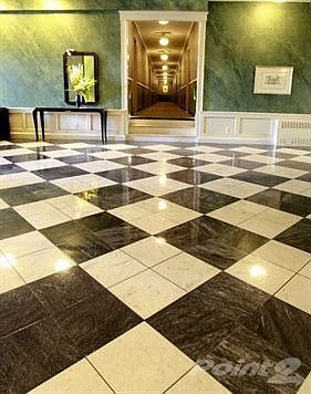5_roosevelt_IMG_8948