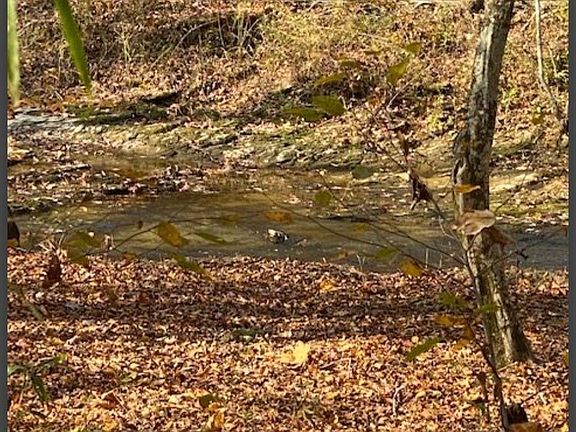 3rd image of 22 Hidden Pines Loop