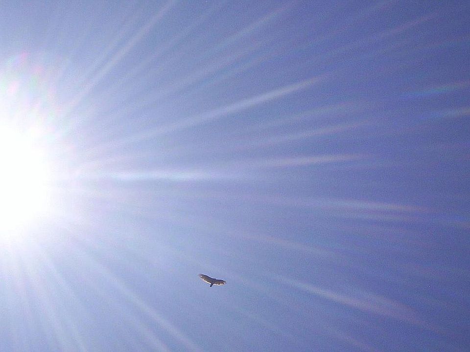 0 Groves Rd, Gilkey, NC 28139 Zillow