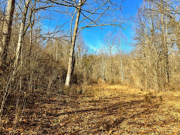 4th image of 0 Braden Rd Lot 3