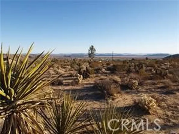 7275 Saddleback Rd, Joshua Tree, CA 92252