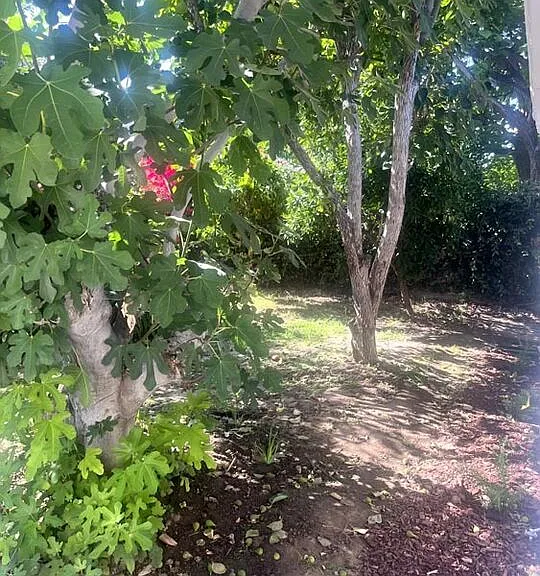 5726 Lemona Ave — Photo 17