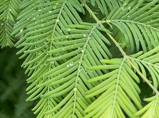 810 Charlotte Ter, Ridgefield, NJ 07657