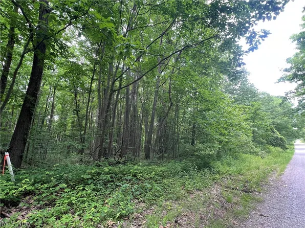 Weaver Rd, Conneaut, OH 44030