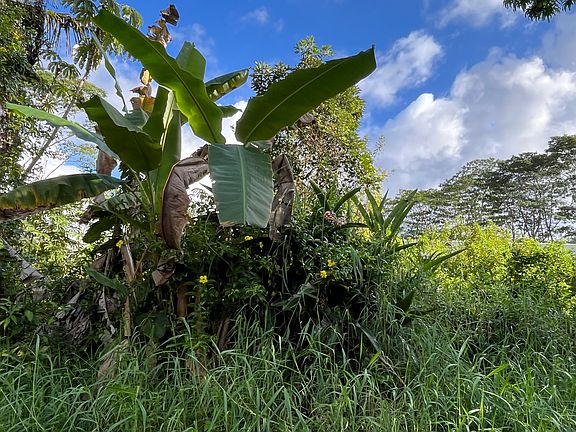 4th image of King Kamehameha Blvd Lot 24