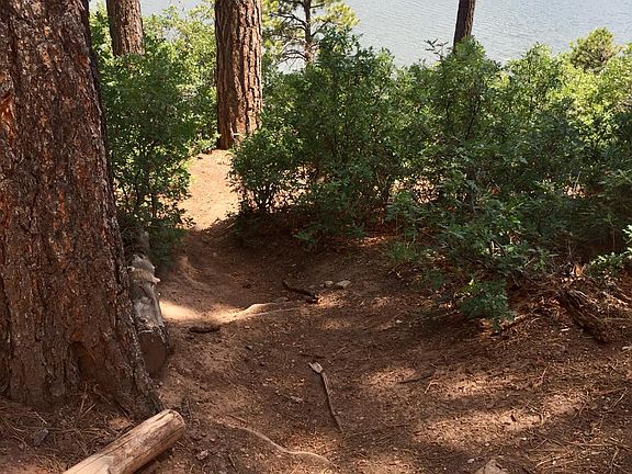 Deertrail to the lake's shoreline.