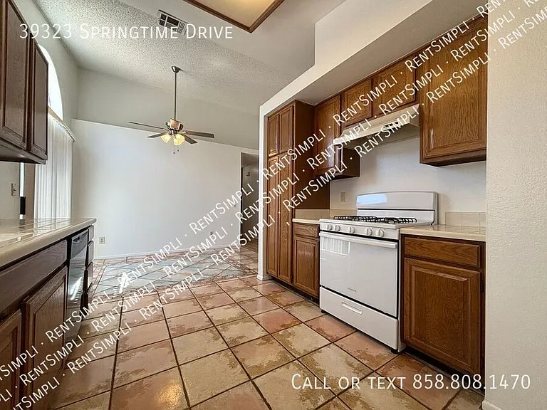 39323 Springtime Dr — Photo 10
