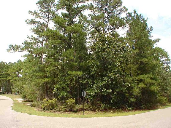 2nd image of 28 Birdie Ct/East Lake Road LOT 28
