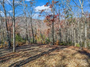 144 Weeburn Cv, Mill Spring, NC 28756