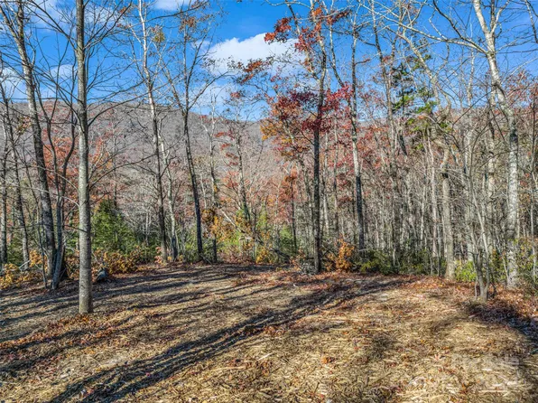 144 Weeburn Cv, Mill Spring, NC 28756