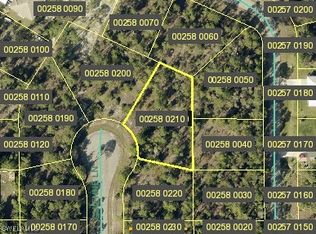 843 Guienne Ln, Lehigh Acres, FL 33974