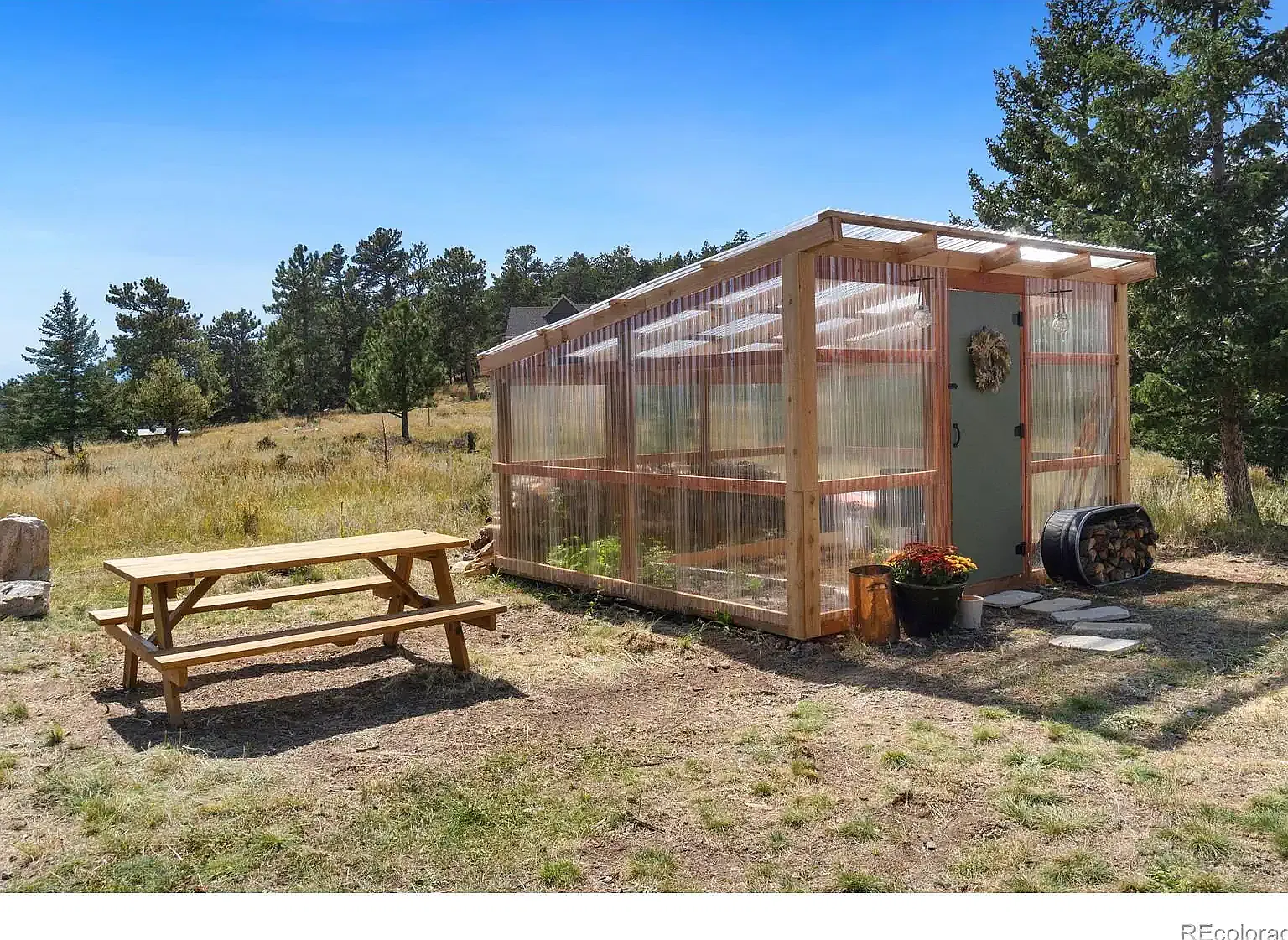 1 bed, 988 sqft, $1,800 — Photo 4