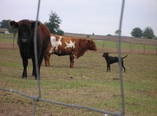 3444 Hammock Grove Rd, Groveland, FL 34736