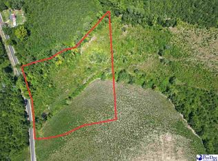 8.14 Acres Off Dalcho Rd, Latta, SC 29565