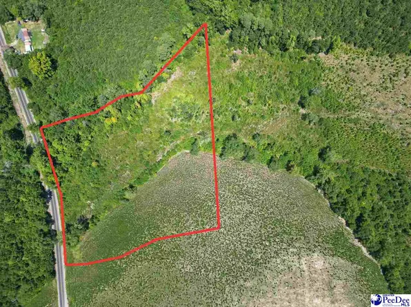 8.14 Acres Off Dalcho Rd, Latta, SC 29565
