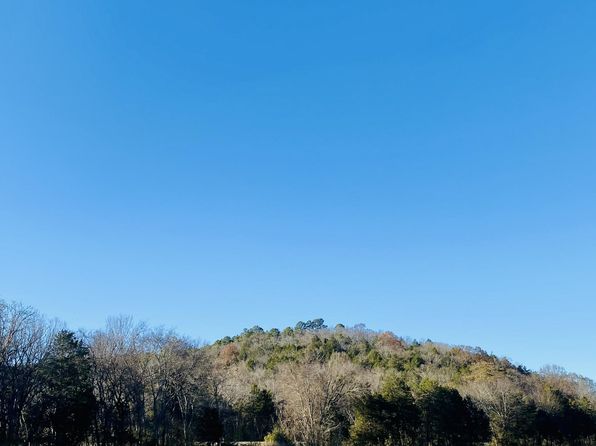 123 Highway 5, Mountain View, AR 72560