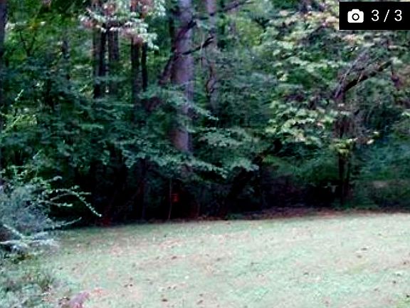 3rd image of 1715 Jonestown Rd