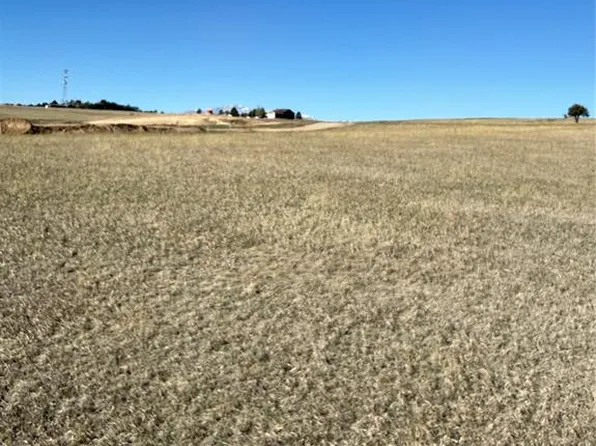 16874 Endless Skye Ln, Colorado Springs, CO 80908