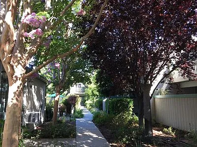 Live Oak Apartments — Photo 115