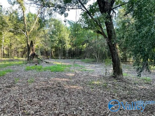 2 49/ Ac Old Union Rd, Grant, AL 35747