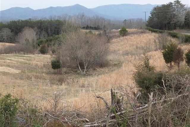2nd image of Swannsylvania Rd