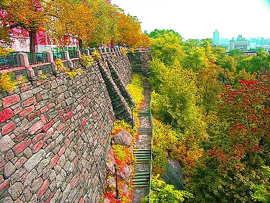 Rented by Living New York | media 10