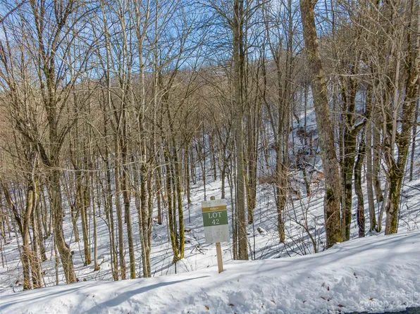 42 Black Bear Dr, Mars Hill, NC 28754