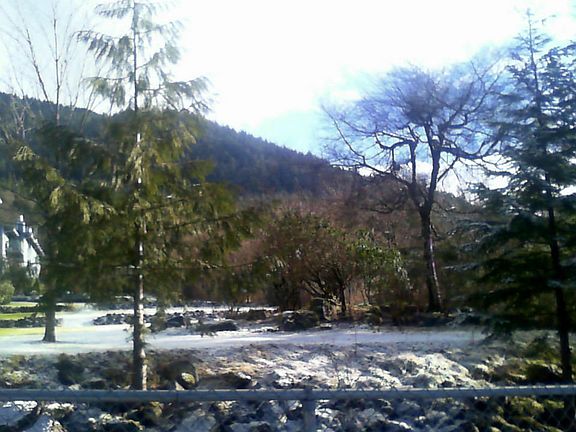 Large park like  fenced yard