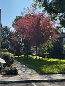 3449 Wine Cask Way, San Jose, CA, 95124