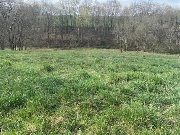 0 Judson St, Bethesda, OH 43719