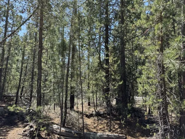 Gabriel Ct, Crescent, OR 97733